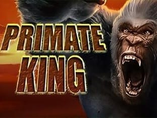 Primate King game cover
